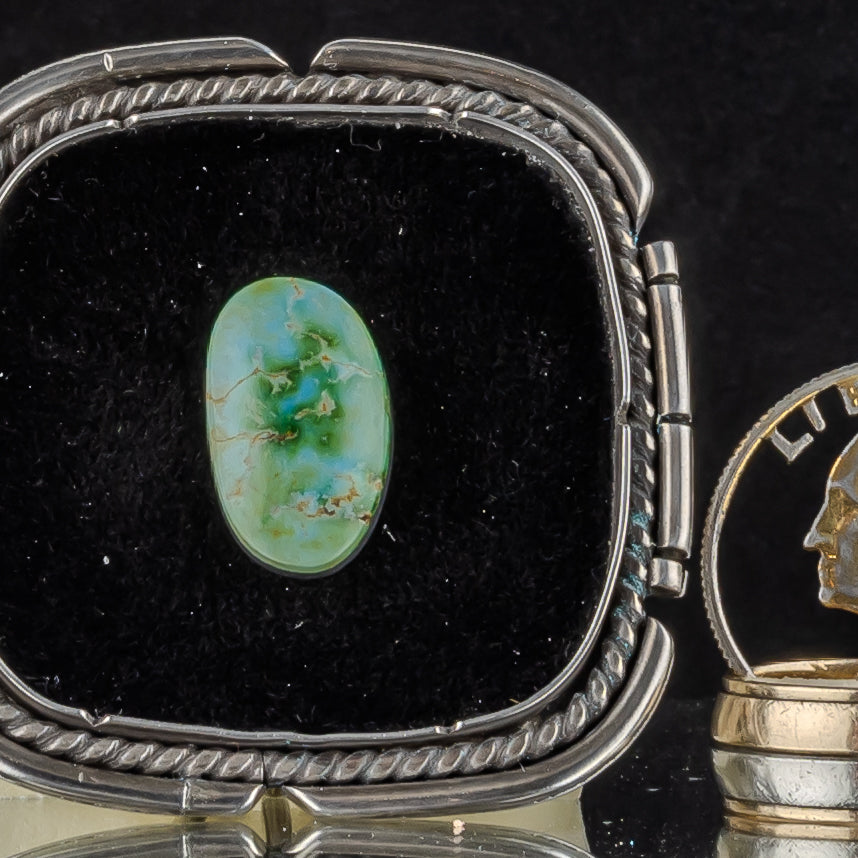Sonoran Gold Turquoise