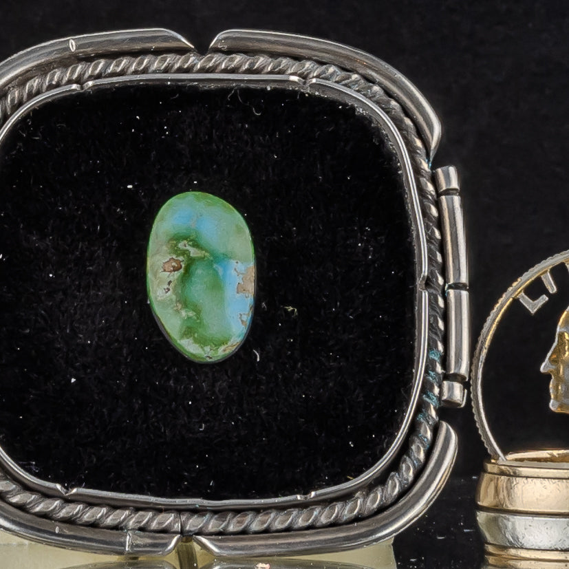 Sonoran Gold Turquoise
