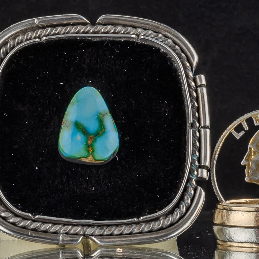 Sonoran Gold Turquoise