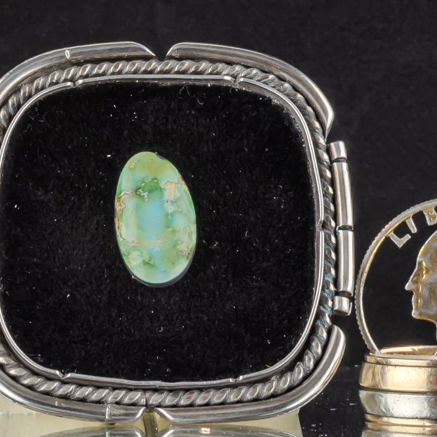 Sonoran Gold Turquoise