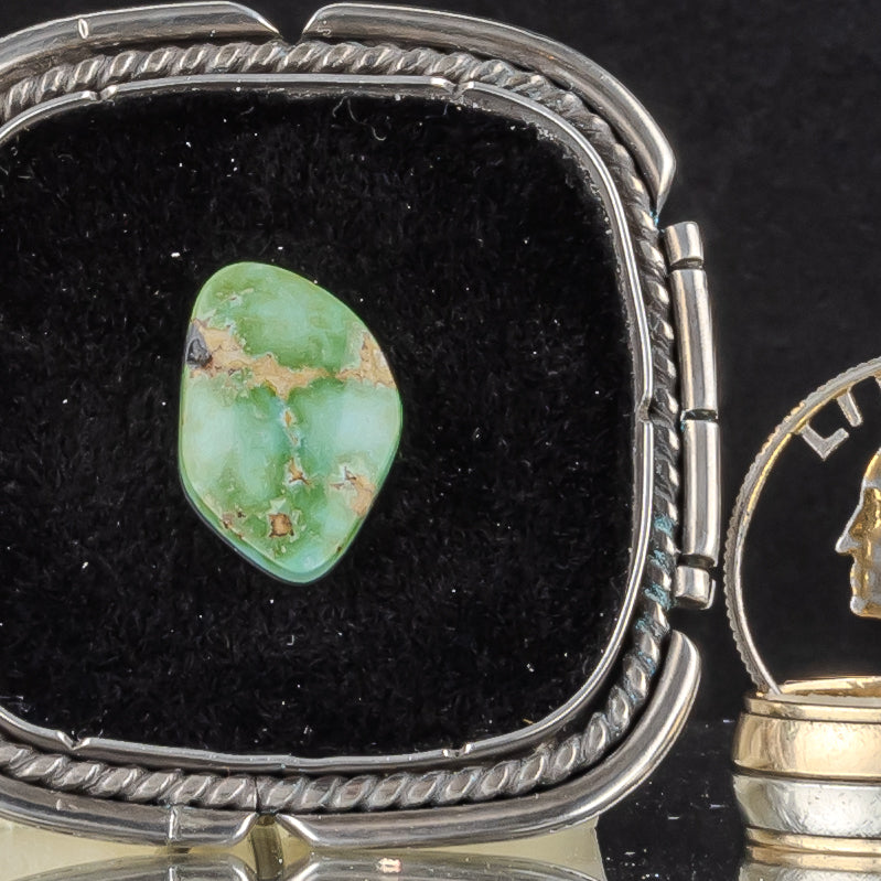 Sonoran Gold Turquoise