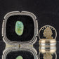Sonoran Gold Turquoise