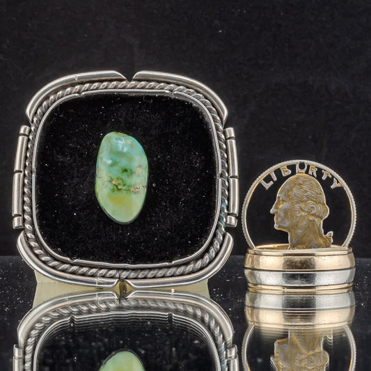 Sonoran Gold Turquoise