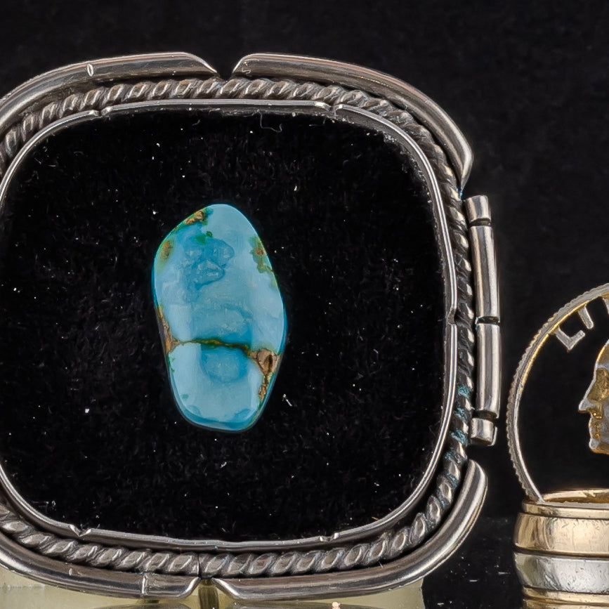Sonoran Gold Turquoise