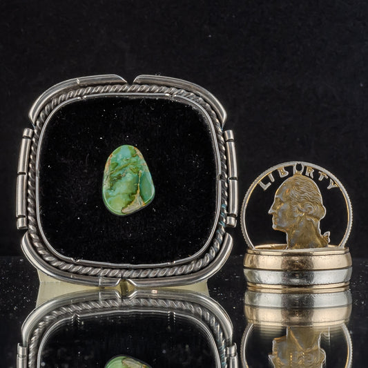 Sonoran Gold Turquoise