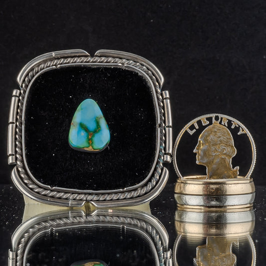 Sonoran Gold Turquoise