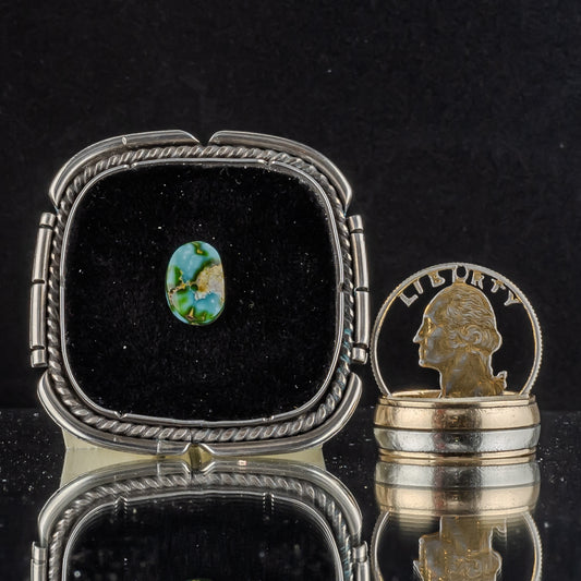 Sonoran Gold Turquoise