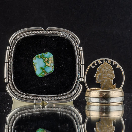 Sonoran Gold Turquoise