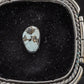 Lone Mountain Turquoise