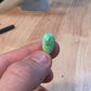 Sonoran Gold Turquoise